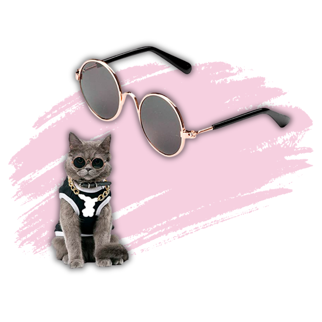 Lentes para mascotas