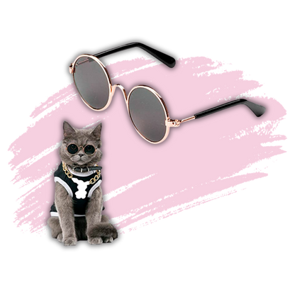 Lentes para mascotas